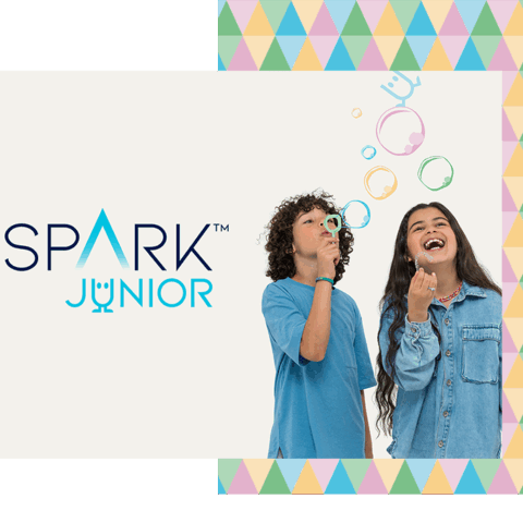 Spark Junior2 Spark Junior2